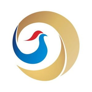 探索广州久银互联网金融信息服务 创新与安全的互联网信息服务新篇章